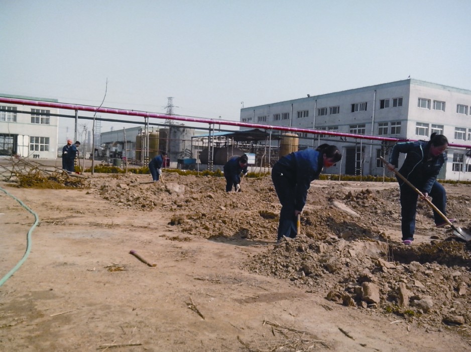 貢獻一份力量 奉獻一片綠色（sè）.jpg